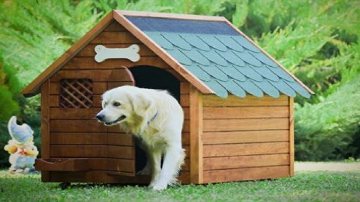 Kedi Kopek Kulube Isitma Barinak Isitma Sistemleri 0532 545 59 90 Kedi Kopek Kulube Isitma Barinak Isitma Sistemleri 0532 545 59 90