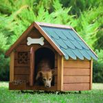 Köpek Kulübesi Isıtma - Karbon Film Barınak Isıtma